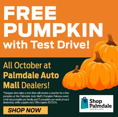 Free Pumpkin With Test Drive